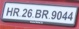 Detected plate 3